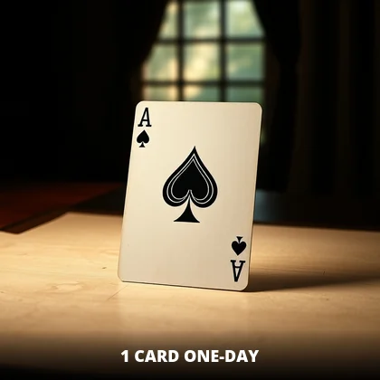 1 Card One-Day